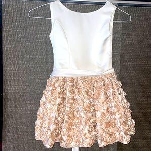 Kiki Formal Fit and Flare Dress. Size 6